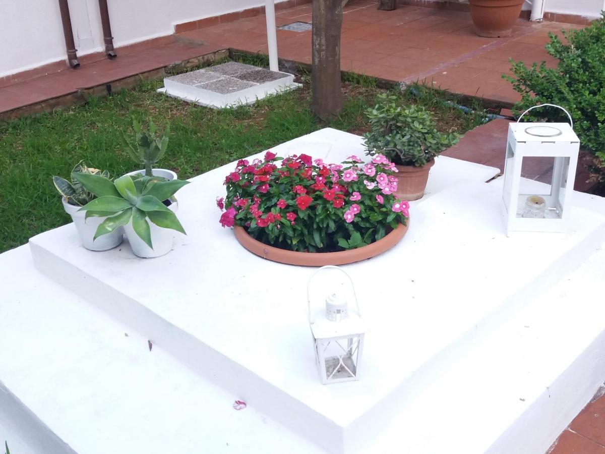 Casa Agrumeto - Locazione Turistica Mondello Bagian luar foto