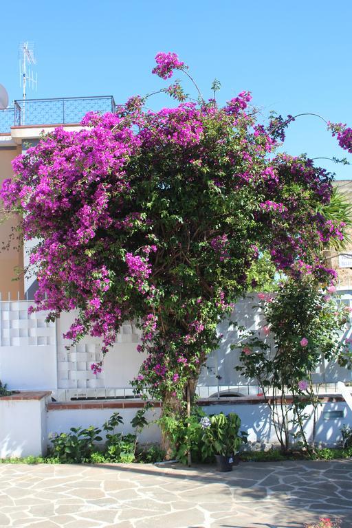 Casa Agrumeto - Locazione Turistica Mondello Ruang foto