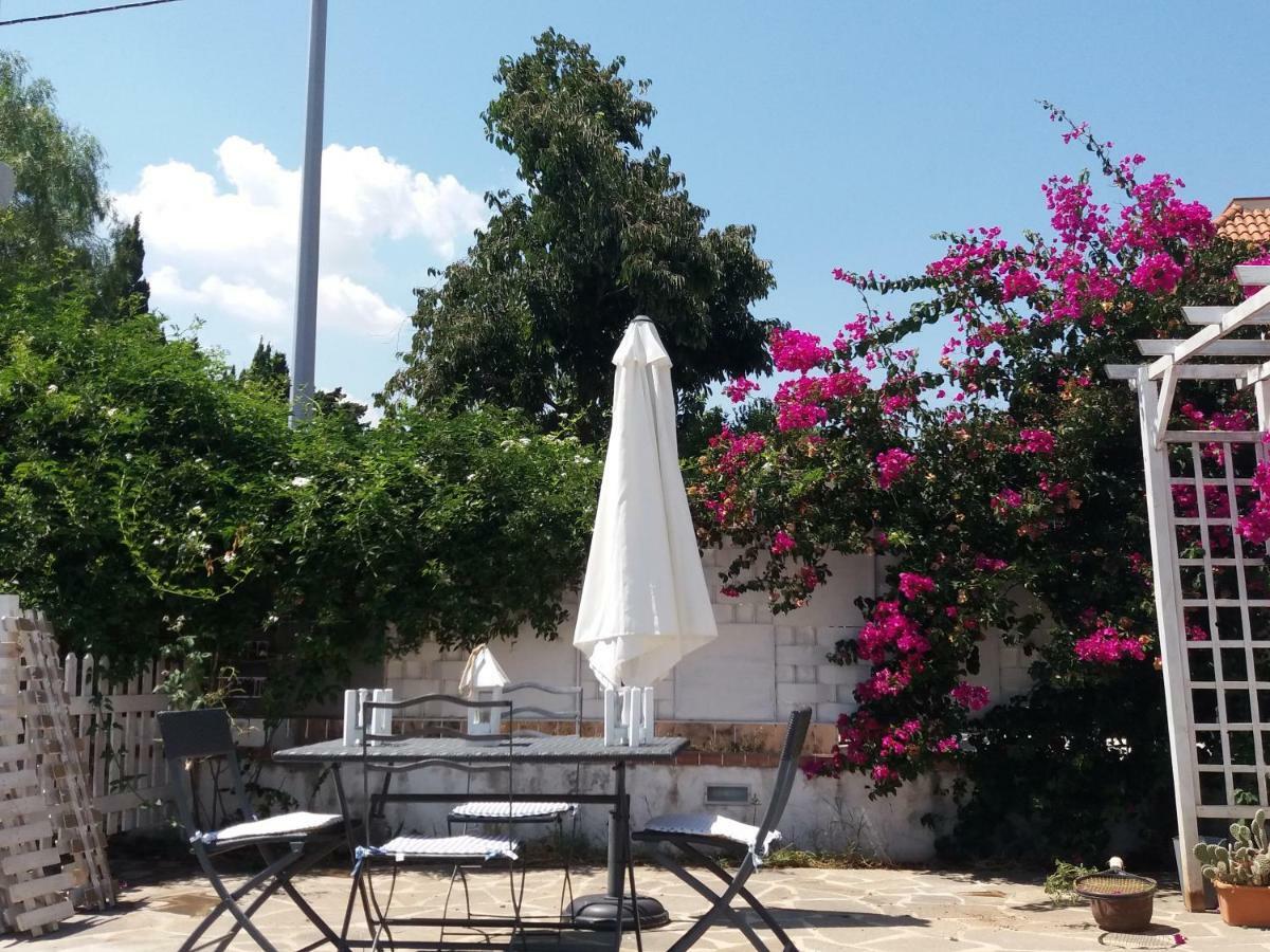 Casa Agrumeto - Locazione Turistica Mondello Bagian luar foto