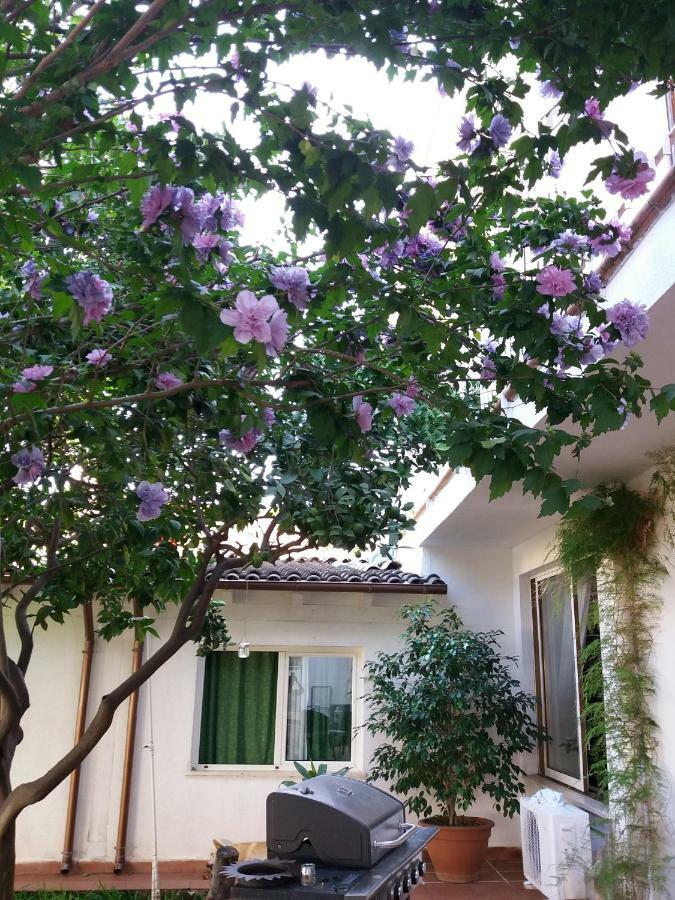 Casa Agrumeto - Locazione Turistica Mondello Bagian luar foto