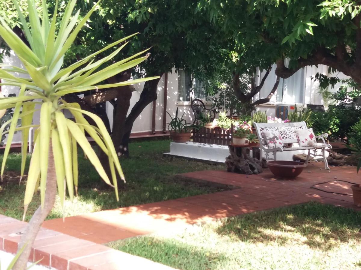 Casa Agrumeto - Locazione Turistica Mondello Bagian luar foto